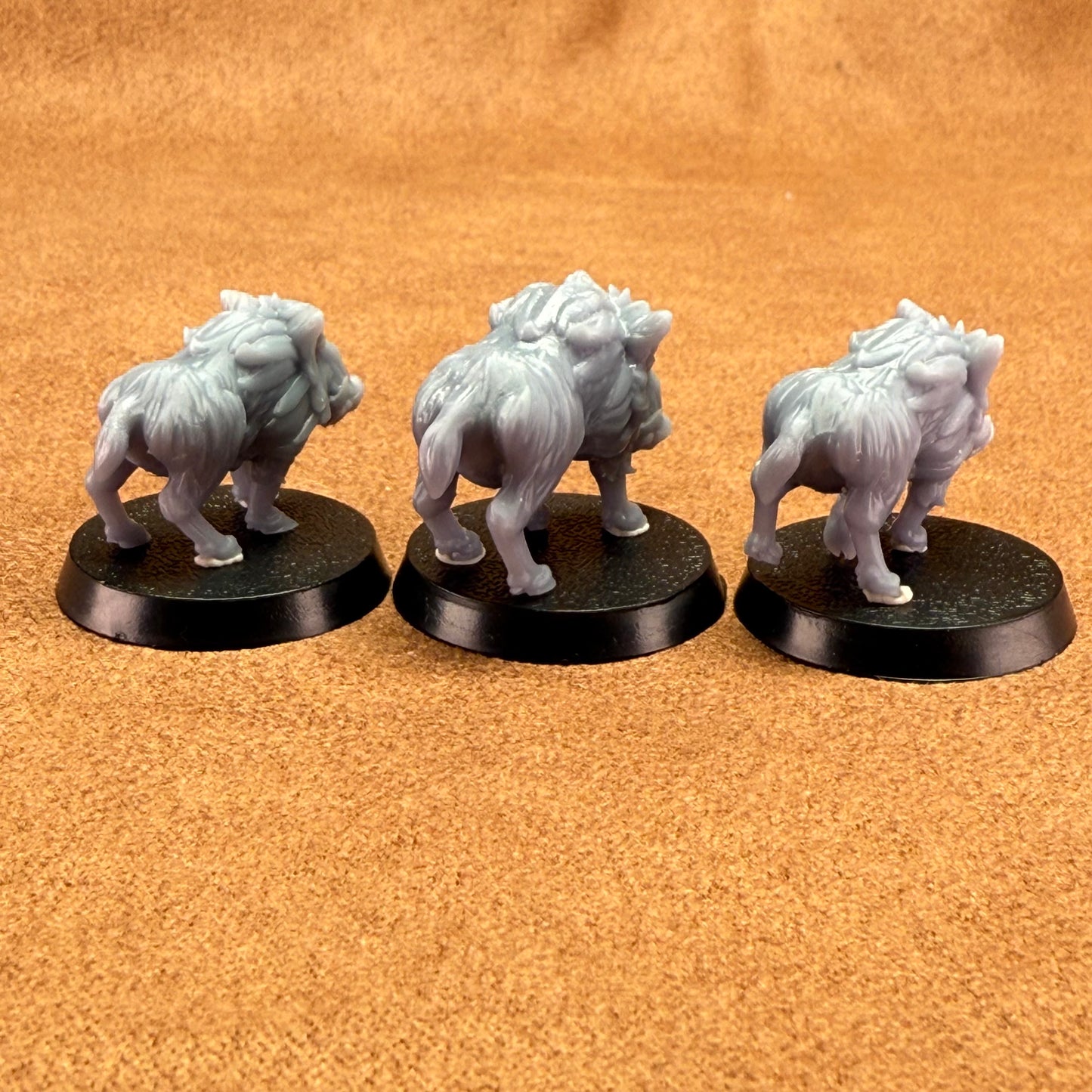 The Royal Hunt Boars Set - Rogue’s Den Hobbies