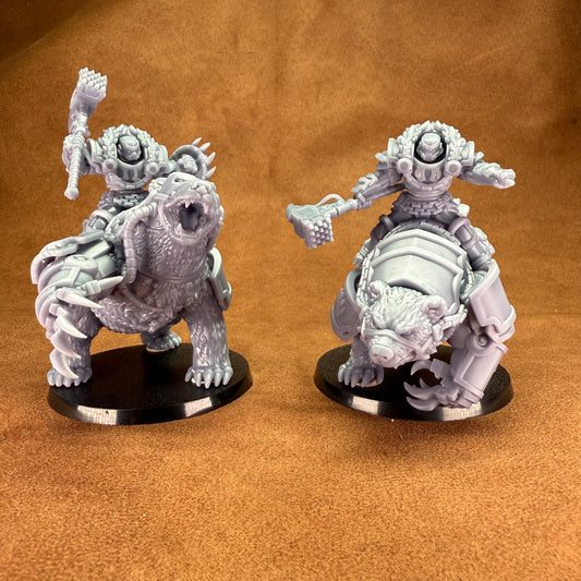 Front shot of the cyber space bear cavalry unit