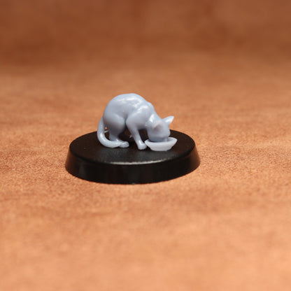 grey resin miniature cat figure on a black base with a brown background