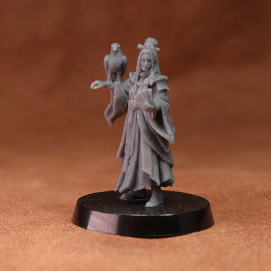 An unpainted gray fantasy tabletop gaming miniature of a robed female figure holding a raven, standing on a round black base against a warm brown textured background.